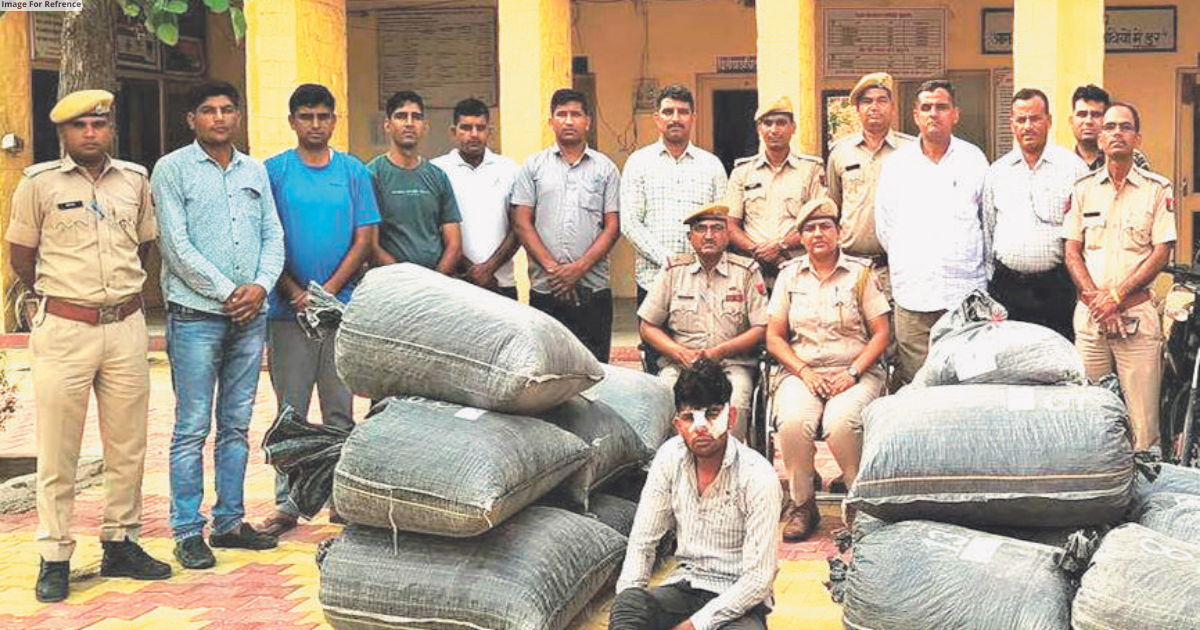 279 kg doda worth Rs 10 lakh seized in Barmer: Police